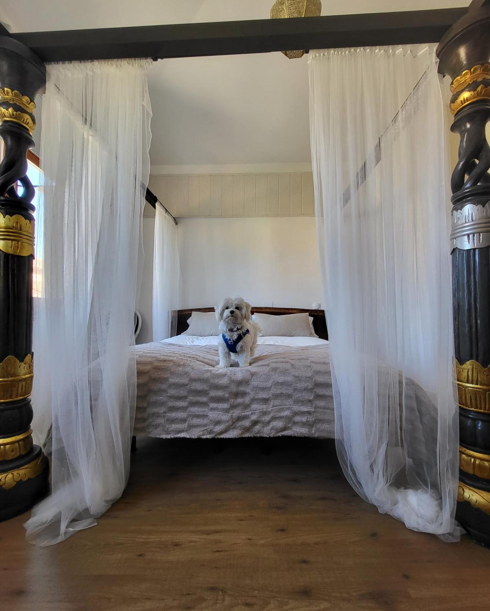 Hotel Rural Luna Llena Torremocha de Jarama Стая снимка